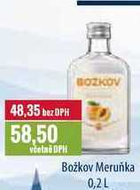 Ratio Božkov meruňka 0,2l nabídka