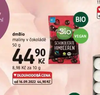 Maliny v čokoládě