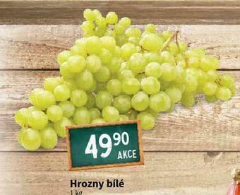 Terno Hrozny bílé nabídka