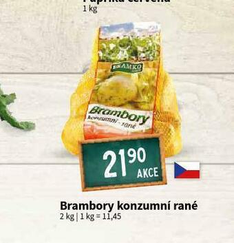 Terno Brambory konzumní rané nabídka