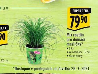 Mix rostlin pro domácí mazlíčky