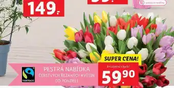 Lidl Čerstvé řezané květiny nabídka