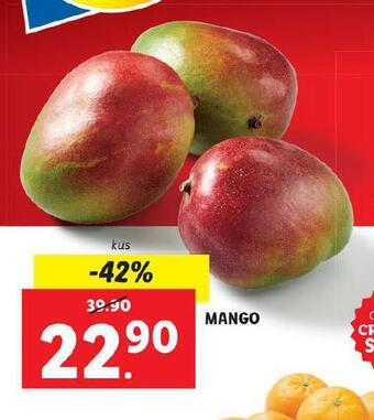 Lidl Mango nabídka