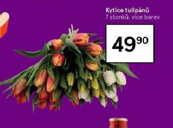 Tesco Kytice tulipánů nabídka