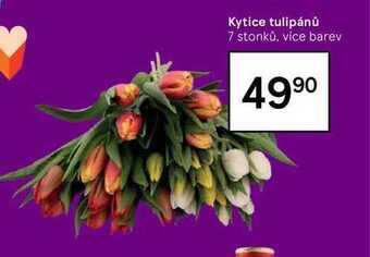 Tesco Tesco jahody 250 g nabídka