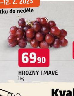Terno Hrozny tmavé nabídka