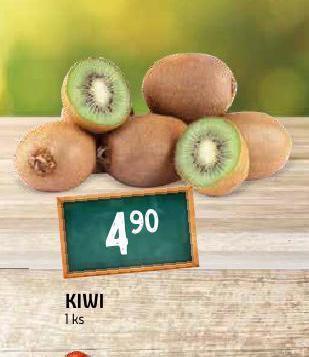 Terno Kiwi nabídka