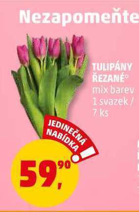 Penny Market Tulipány řezané, 1 svazek nabídka