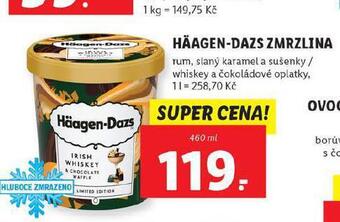 Lidl Haagen-dazs zmrzlina nabídka