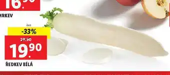 Ředkev bílá