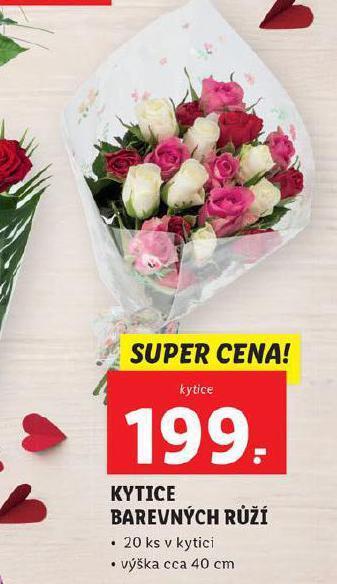 Lidl Kytice barevných růží nabídka