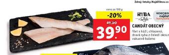 Lidl Candát obecný nabídka