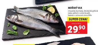 Lidl Mořský vlk nabídka