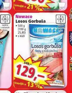 Norma Losos gorbuša nabídka