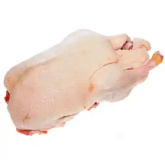 Baby kachna (mražená)