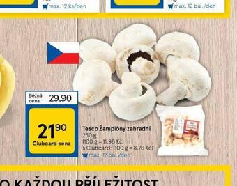 Tesco Žampiony zahradní nabídka