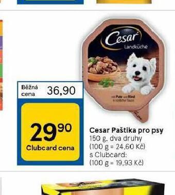 Tesco Cesar paštika pro psy nabídka