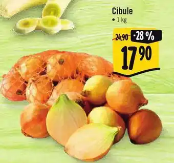 Albert Cibule nabídka