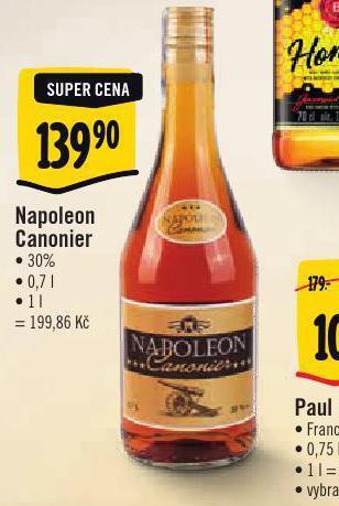 Napoleon canonier