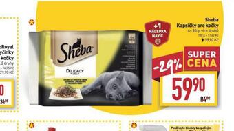 Billa Sheba kapsičky pro kočky nabídka