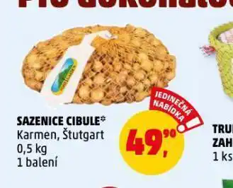 Penny Market Sazenice cibule nabídka