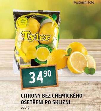 Terno Citrony nabídka