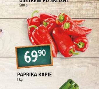 Terno Paprika kapie nabídka