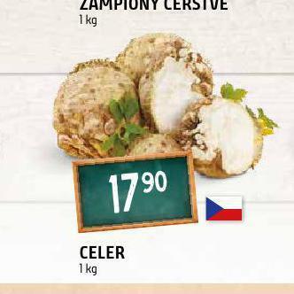 Terno Celer nabídka