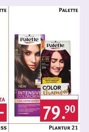 Rossmann Palette barva na vlasy nabídka