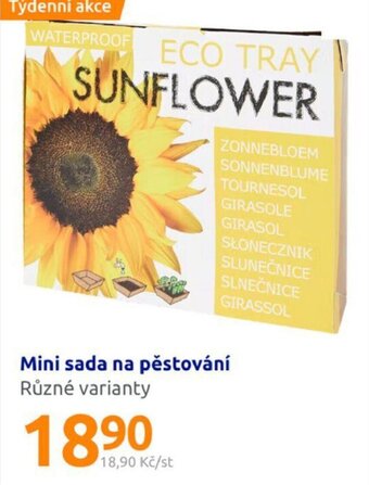 Action Mini sada na pěstování nabídka