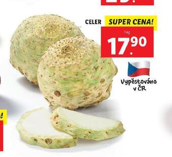 Lidl Celer nabídka