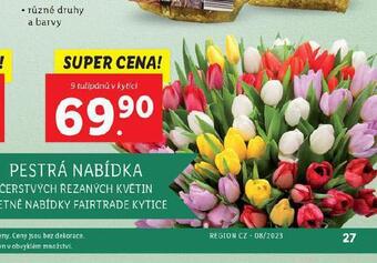 Lidl Kytice tulipánů nabídka