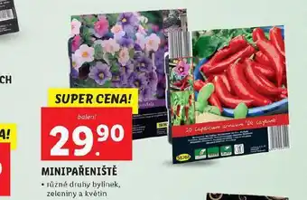 Lidl Minipařeniště nabídka