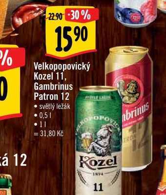 Albert Gambrinus patron 12 0,5 l nabídka
