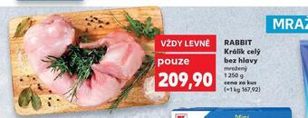 Králík celý bez hlavy
