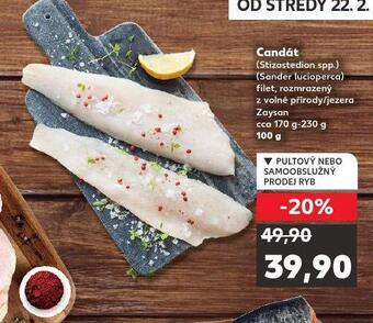 Kaufland Candát nabídka