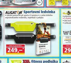 Sportovní ledvinka