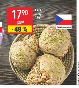Globus Celer nabídka