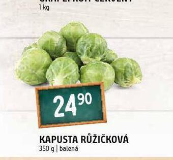 Terno Kapusta růžičková nabídka
