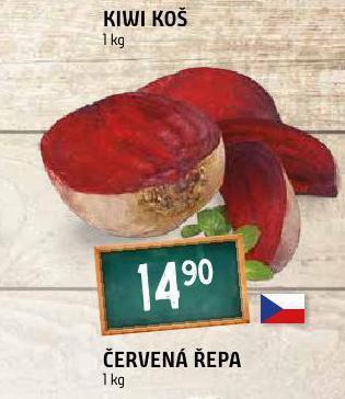 Terno Červená řepa nabídka