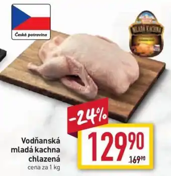 Billa Vodňanská mladá kachna chlazená 1kg nabídka