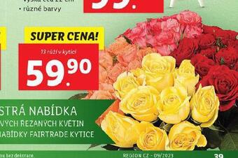 Lidl Kytice nabídka