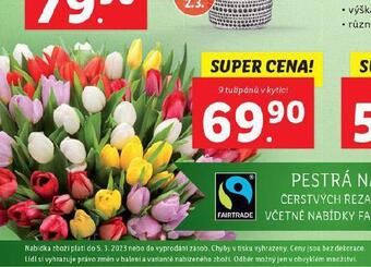 Lidl Kytice nabídka
