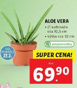 Lidl Aloe vera nabídka