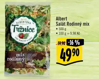 Albert Albert Salát Rodinný mix 500g nabídka