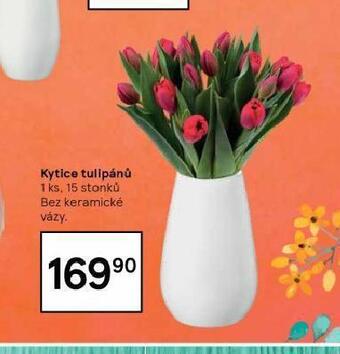 Tesco Kytice tulipánů nabídka