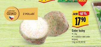 Albert Celer bulvy nabídka