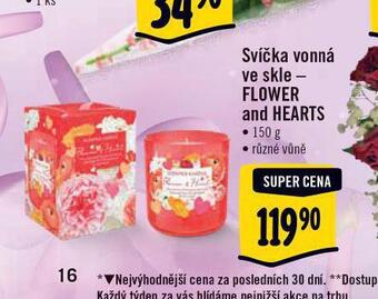 Albert Svíčka vonná ve skle nabídka