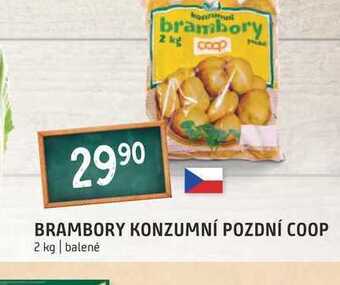 Terno Brambory konzumní pozdní coop 2 kg nabídka