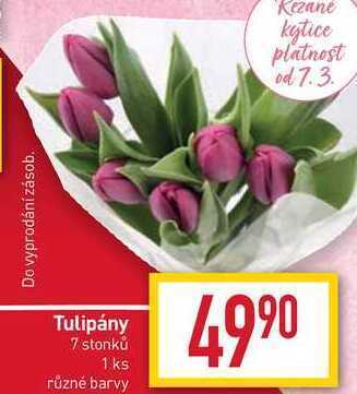 Billa Tulipány 7 stonků 1 ks nabídka